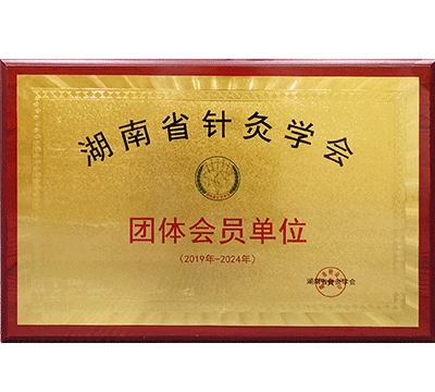 湖南省针灸学会团体会员单位